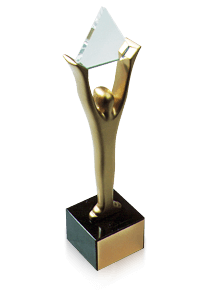Gold Stevie Award - Marketing Campaign of the Year: Automotive