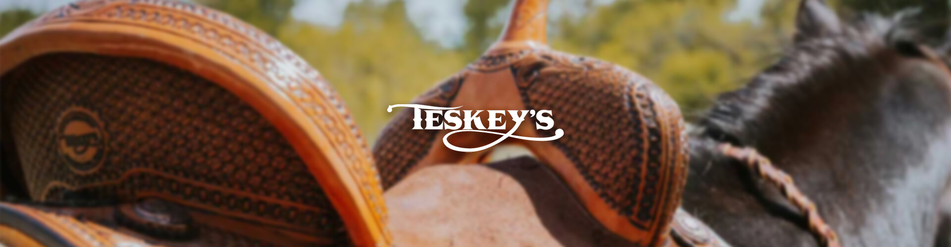 Teskey's Saddle Shop - Logical Position