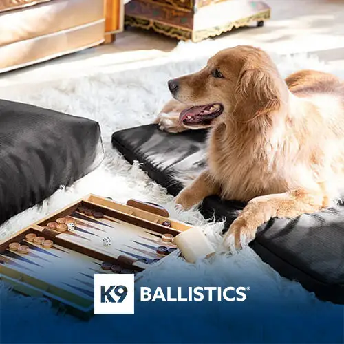 Case Study - K9 Ballistics